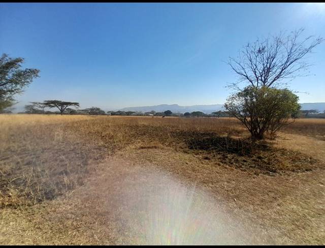 LAND FOR SALE IN BUNDU WILDLIFE ESTATE